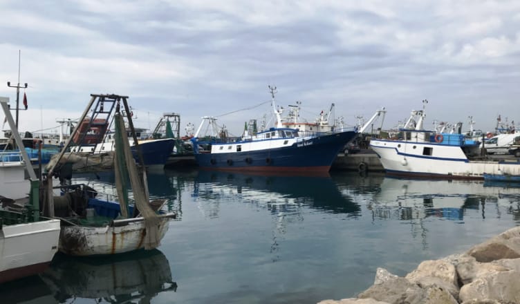 Grantet per kompanite e peshkimit: Cilet perfitojne, Kriteret e aplikimit